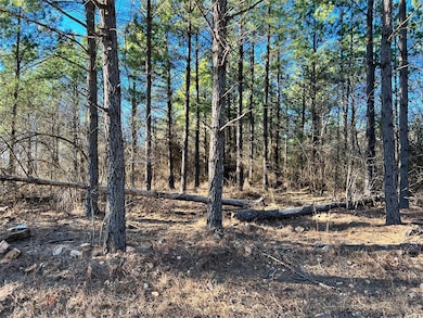 538 Lukfata Fork Trail, Broken Bow, OK 74728 - photo 2