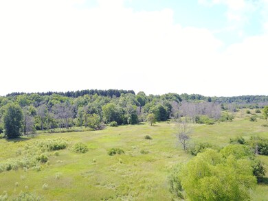 DJI_0004