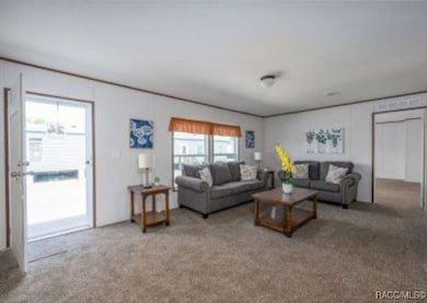 10215 W Ohio Dr, Crystal River, FL 34428 - photo 3