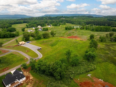 0 Starboard Dr unit 1512191, Jasper, TN 37347 - photo 6