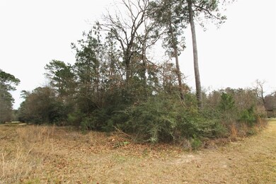 0 Canyon Ct unit 11654481, Conroe, TX 77385 - photo 4