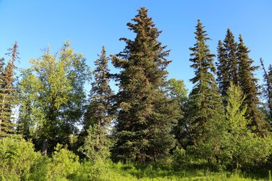Stone River Lot 8