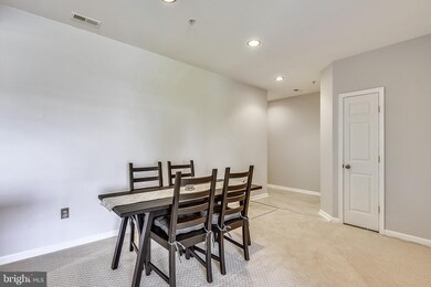 11310 Westbrook Mill Ln unit 303, Fairfax, VA 22030 - photo 7