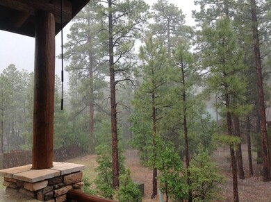 Lots of Tall Trees