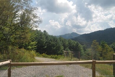 1082 Sweet Hollow Rd, Burnsville, NC 28714 - photo 4