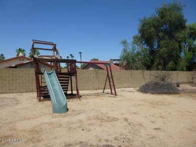 BACKYARD (5)