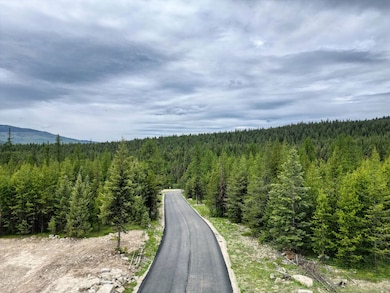 NHN View Ridge, Marion, MT 59925 - photo 6