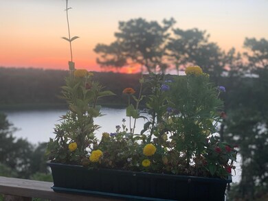 Sunsets in the evening