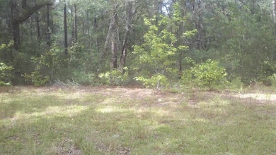 0 Carter Rd, Crawfordville, FL 32327 - photo 5