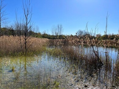 8249 Parcel A M-139, Berrien Springs, MI 49103 - photo 5