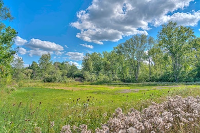 VL M60 Spring Arbor Rd 10