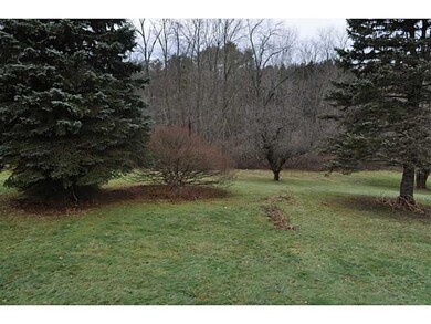 Yard/Garden.