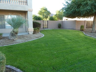 Front Yard