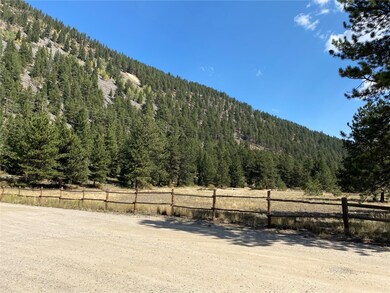 95 Empire West Rd unit 95, Empire, CO 80438 - photo 2