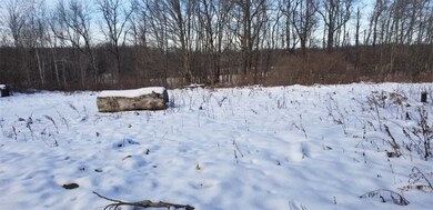 10670 Dicksonburg Rd, Conneautville, PA 16406 - photo 3