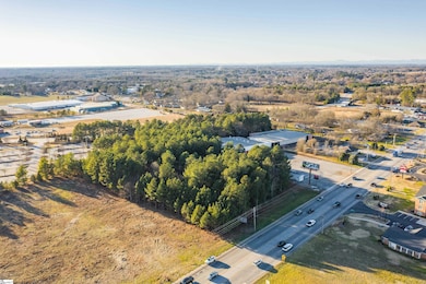 323 Tr B Pearman Dairy Rd, Piedmont, SC 29625 - photo 5