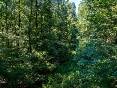 0 Mann Rd, Flintville, TN 37335 - photo 3