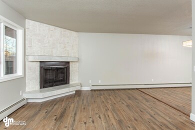 Living Room/Fire Place