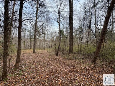 0 Pine Knoll Farms unit 145572, Stuart, VA 24171 - photo 4