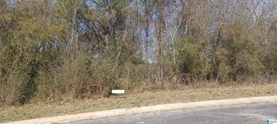 3299 Hillcrest Place unit 12, Adamsville, AL 35005 - photo 2