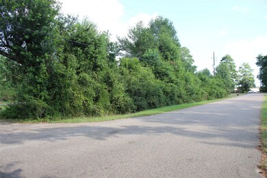 218 Dogwood Trail, Magnolia, TX 77354 - photo 7