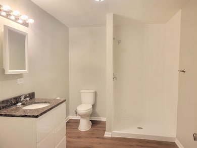 2810 186th St, Lansing, IL 60438 - photo 6