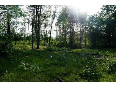 0 Turner Rd, Buckfield, ME 04220 - photo 5