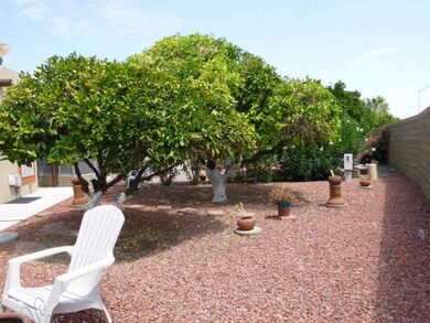 Great back yard