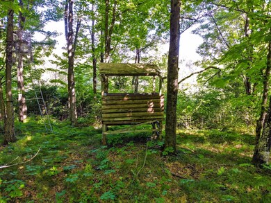 10033 Hwy 86, Tomahawk, WI 54487 - photo 5