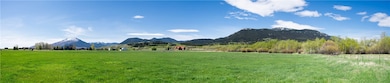 Panorama view