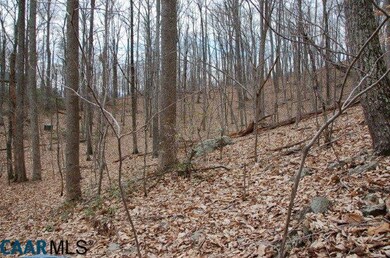 291 Wood House Ln, Nellysford, VA 22958 - photo 2