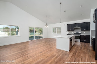 1133 W Cordgrass Ave, Post Falls, ID 83854 - photo 4