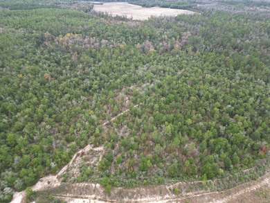 2839 Highview Cir, Chipley, FL 32428 - photo 2