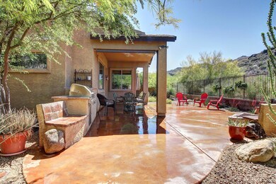Back Yard 1