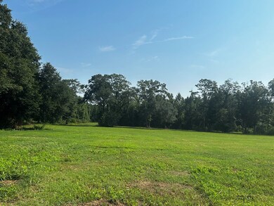 0 Willie Varnum Rd, Dothan, AL 36301 - photo 7