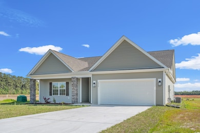 6929 Persimmon Rd unit LOT 6, Aynor, SC 29511 - photo 3