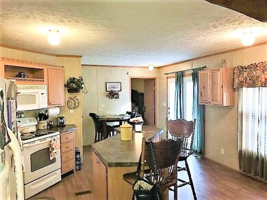 100 Roy Branch Rd, Branchland, WV 25506 - photo 5