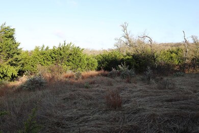 0 Signal Point unit 51 81765, Fredericksburg, TX 78624 - photo 3