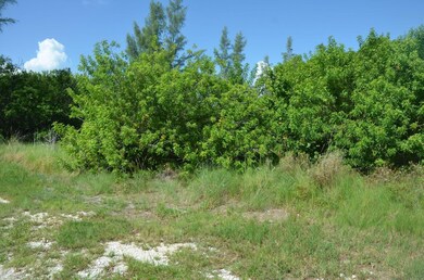 lot 4