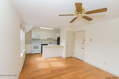 115 Union Ave unit R206, Saratoga Springs, NY 12866 - photo 2