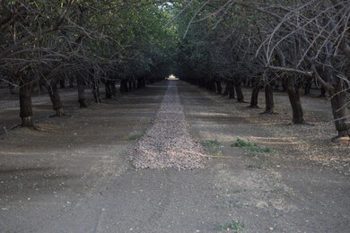 0 Road 16 unit 225148556, Zamora, CA 95698 - photo 6