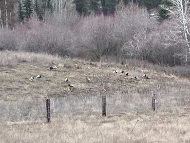 D-LOT 3 Immel Rd, Chewelah, WA 99109 - photo 7