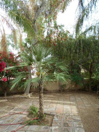 C- back yard