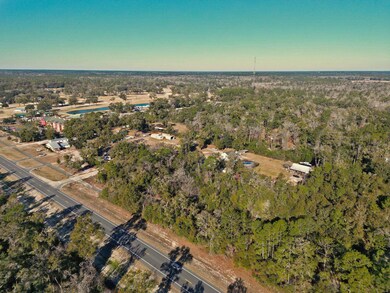 xx Lonesome Rd, Crawfordville, FL 32327 - photo 5