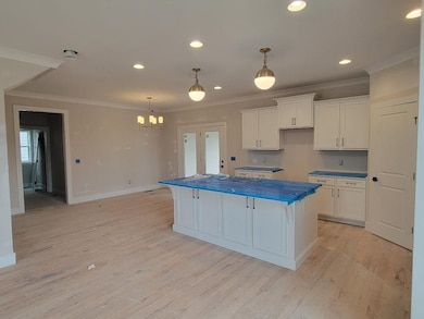 4709 Perth Ln, Nolensville, TN 37135 - photo 4