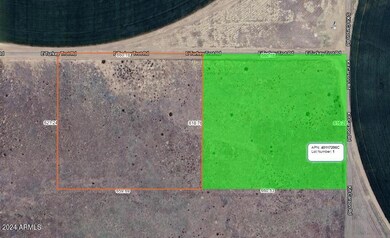 10 E Turkey Trot Rd unit 1, Sunsites, AZ 85625 - photo 2