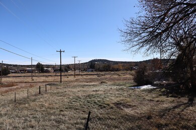 501 W 4th St, Walsenburg, CO 81089 - photo 5