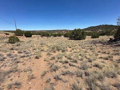 0 W Shumway Rd, Taylor, AZ 85901 - photo 6