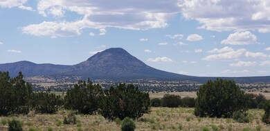 20190618_145349