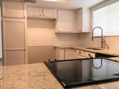 Granite counter tops